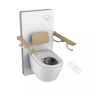 electronic bidet toilet seat