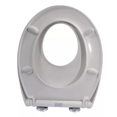 electronic bidet toilet seat
