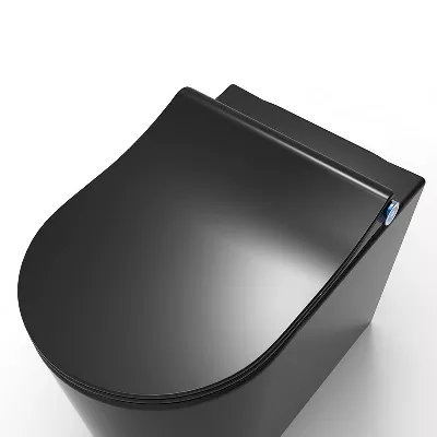 electronic bidet toilet seat