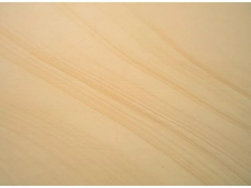 Wood veins Sandstone