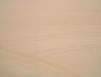 Wood veins Sandstone