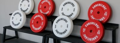 What are technique plates? Or a better question, why have 10#5kg tech plates?