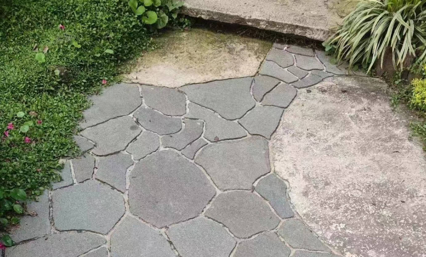 <p>All Kinds of Steppers</p>