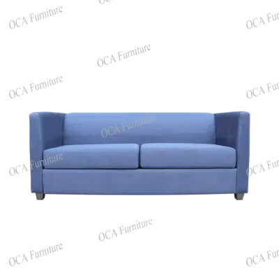 Queen Sized Sleeper Sofa