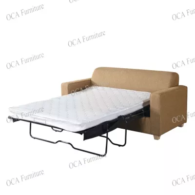 Sleeper Sofa