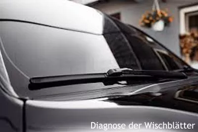 Diagnose der Winde